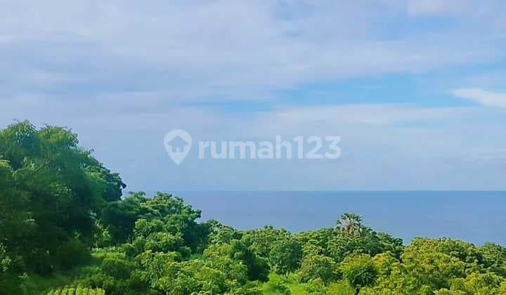 60 Juta Per Are Murah! Super Ocean View Bukti Kubutambahan Buleleng Bali