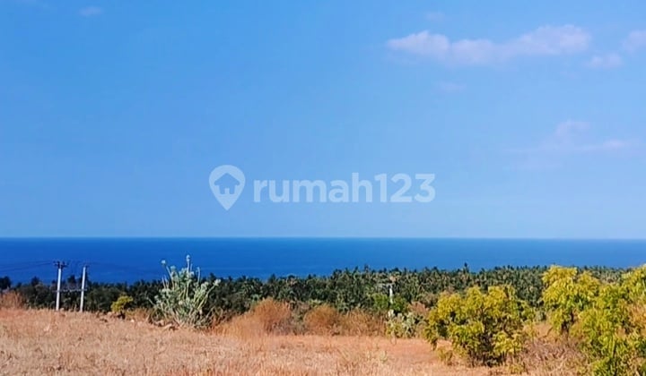 1 Hektar Stunning Ocean View Hak Milik Di Kubutambahan Buleleng Bali