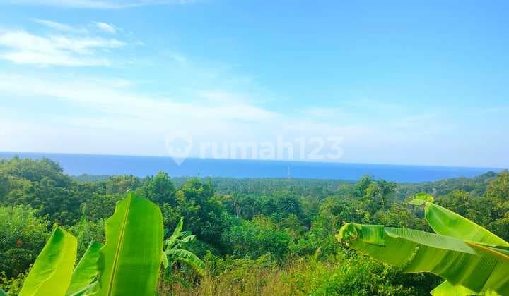 30 Are View Laut Pinggir Jalan Bukti Kubutambahan Buleleng Bali