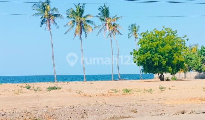 Pink Zone Beachfront Land 26,7 Are Shm Kubutambahan Buleleng