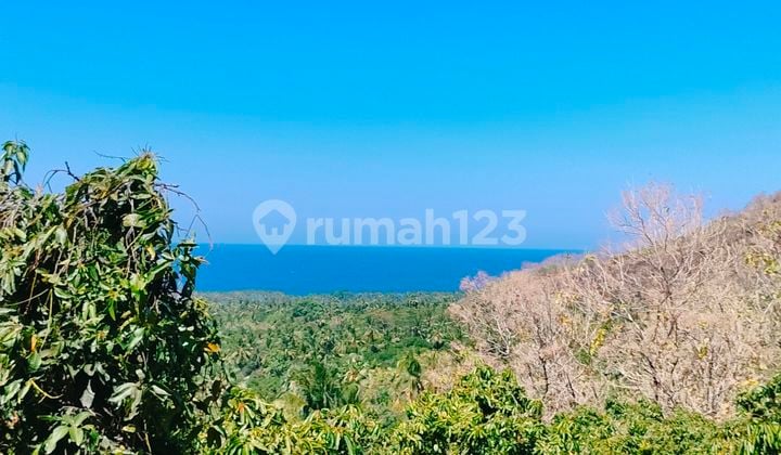 Ocean View Terasering Datar Pinggir Jalan Tejakula Buleleng
