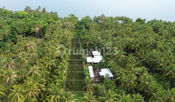 Sisa 5 Kapling Tanah Dekat Pantai Di Kubutambahan Buleleng Bali