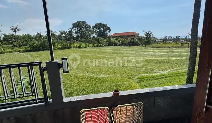 Sold House with Rice Field and Nature Views in Singaraja, Bali