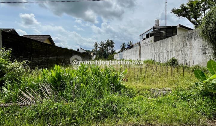 Tanah View Sawah Asri di Jl Palagan KM 12 Cocok untuk Villa