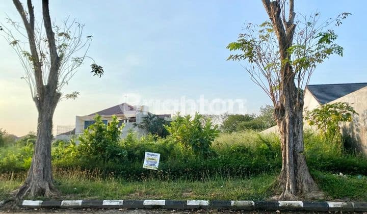 TANAH MURAH DI SURYA INTI PERMATA JUANDA HANYA 4,5 JUTA PERMETER