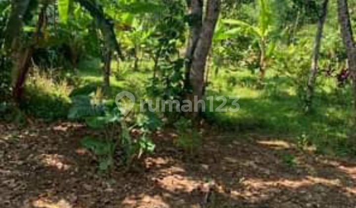 Dijual Cepat Tanah Bonus Rumah Di Cikalong Wetan, Bandung Barat