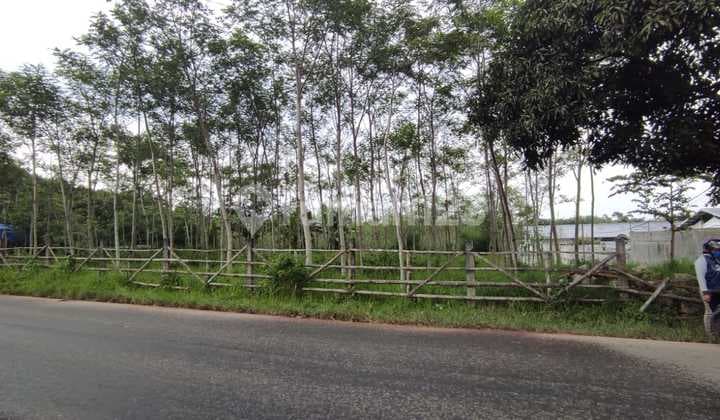 Update Luas & Harga, Dijual Tanah Di Daerah Bandulan, Pandanlandung - Wagir, Malang Cocok Gudang/ Pabrik/ Perum