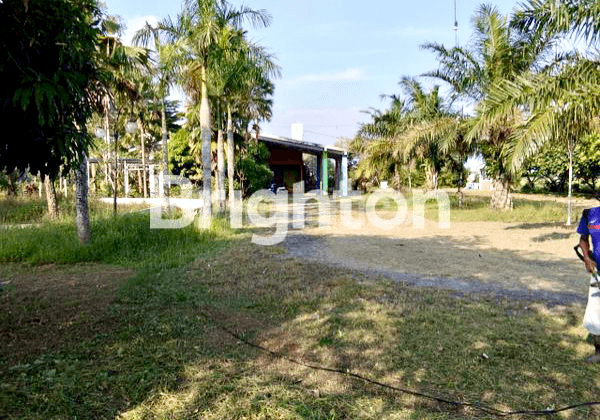 Tanah Murah Cocok Untuk Resto Di Banyudono Boyolali