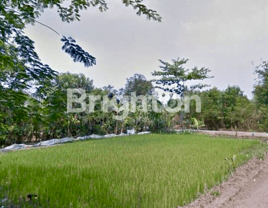 Tanah Murah Siap Bangun Di Nguter Sukoharjo Solo