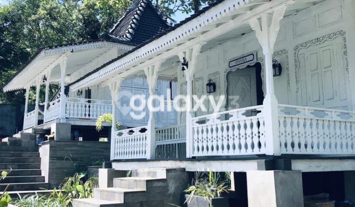 Jual Villa Ubud Dekat Padma Hotel Ubud Bali