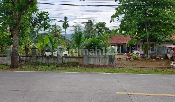 Dijual Tanah Murah Di Dekat Pantai Carita Seluas 3 Hektar