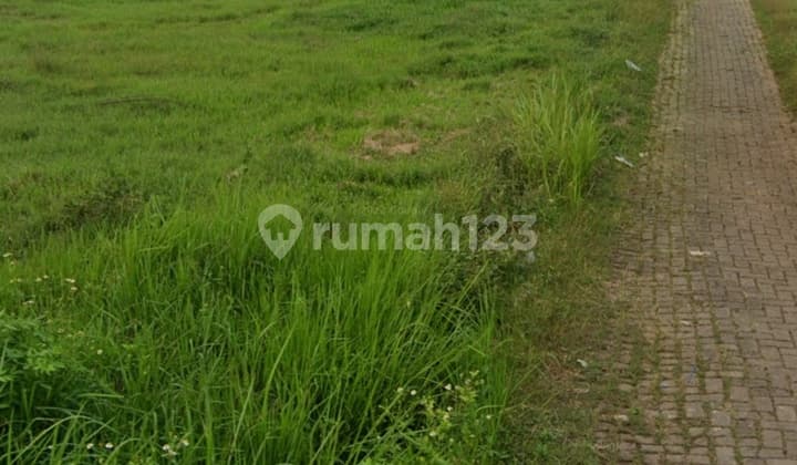 Dijual Tanah Murah SHM 14826 M² di Desa Sodong Tigaraksa