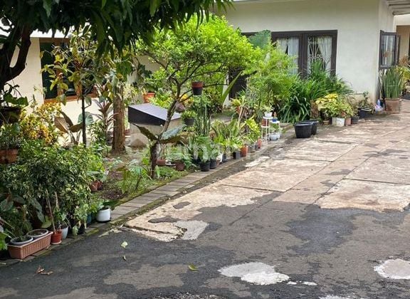Well-Maintained Residential House in Kebayoran Lama, Near Permata Hijau