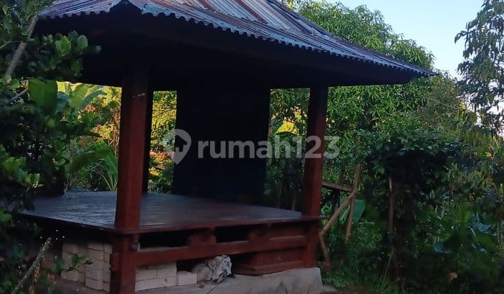 Tanah Kebun 60 Are Sekumpul Sawan Buleleng