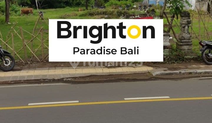 Tanah 2250M2 Dekat Kantor Bupati Negara Jembrana