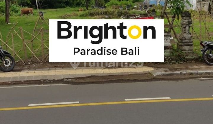 Land 2250M2 Near the Regent's Office of Negara Jembrana