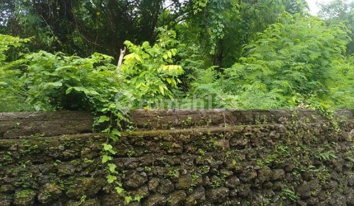 Tanah 1350M2 Siligita Benoa Kuta Selatan Badung