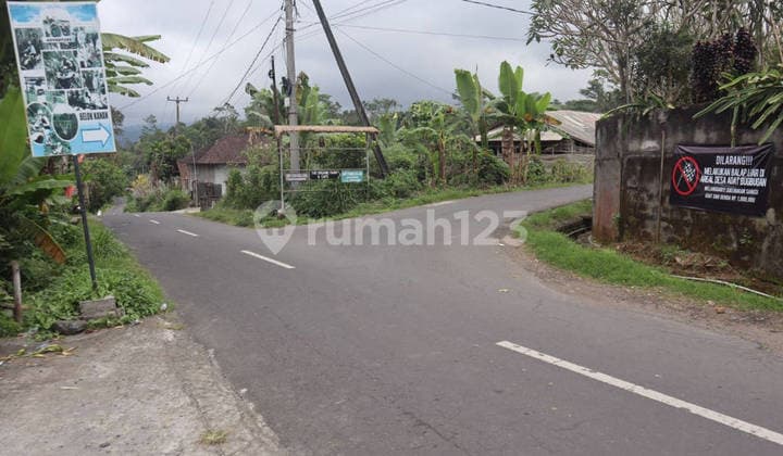 Tanah 50 Are Munduk Lumbang Baturiti Tabanan Hotspring Sungai