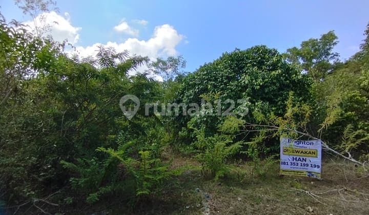 Min 10 Tahun Tanah 4 Are di Ungasan: Pilihan Terbaik untuk Investasi Anda