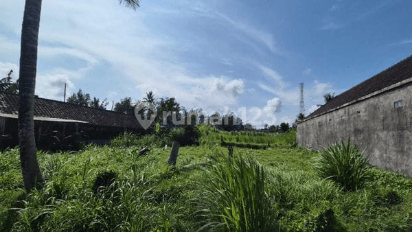 Land 1167M2 15×75 Permata Pering Gianyar