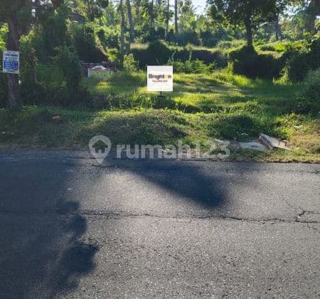 Min 5 Years Land 6 Ares West Facing Rangdu Seririt Buleleng Bali