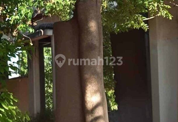 Land 32 Are Beside Legian Street, Badung. Land 32 Are Beside Legian Street, Badung.