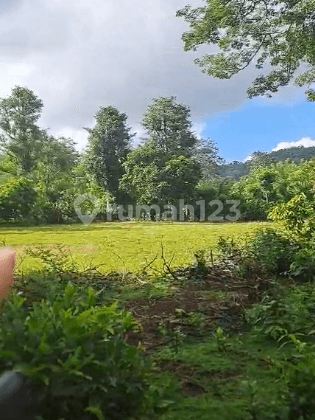 Tanah 1660M2 Pantai Balangan Jimbaran Kuta Selatan Badung