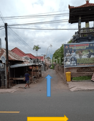 Tanah Kebun Tegal 179 Are Sawan Buleleng