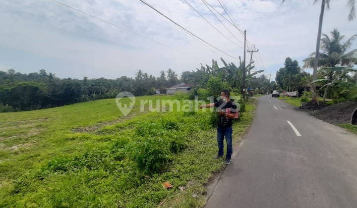 Cheap Land 32 Are Megati Tabanan