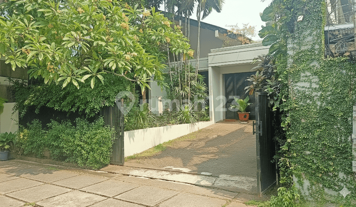 "Jangan kaget... hunian senyaman dengan Luas Tanah 735 m2 ini mungkin tinggal satu-satunya di Menteng Dalam."