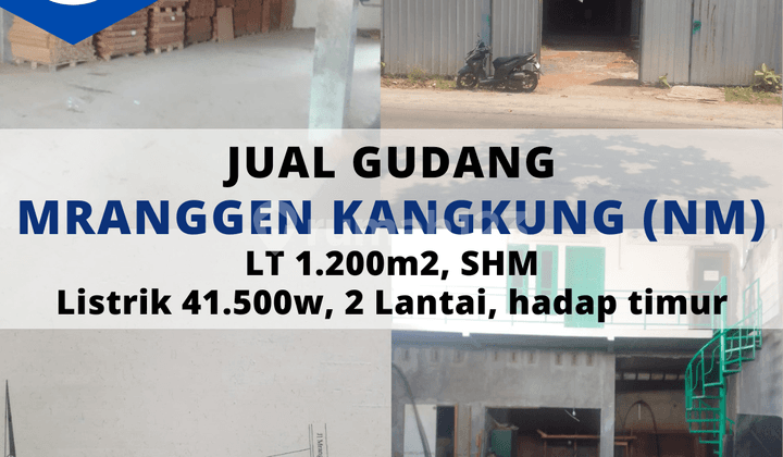 Ready-to-Use Mranggen Kangkung Warehouse