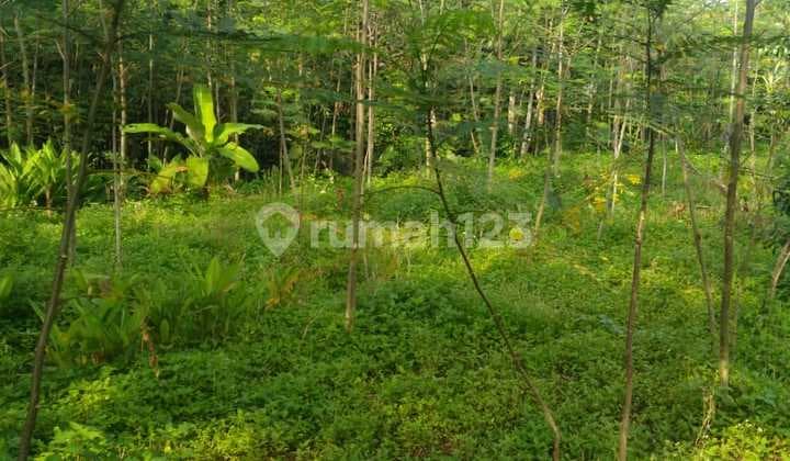 Jual Tanah Meteseh Boja