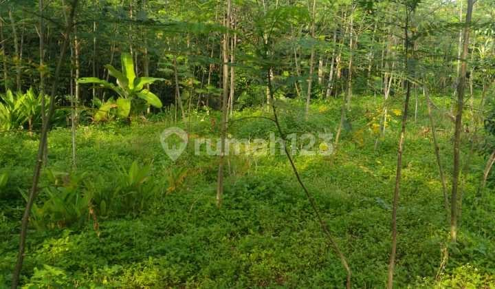 Land for Sale in Meteseh Boja