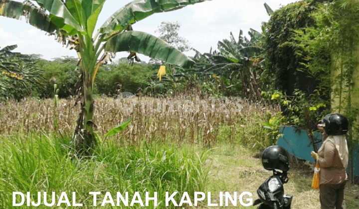 JUAL TANAH KAPLING MURAH DI DEMAK