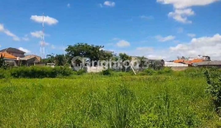 Mature Land in South Meruya