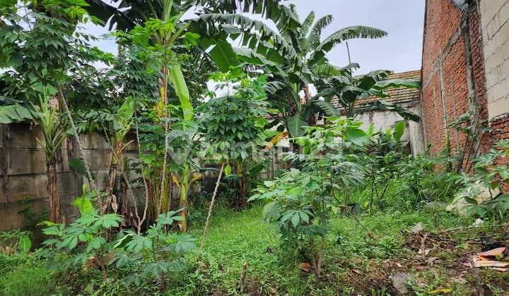 jual murah Tanah 144 m2 HGB cluster akasia Taman Royal, Tangerang