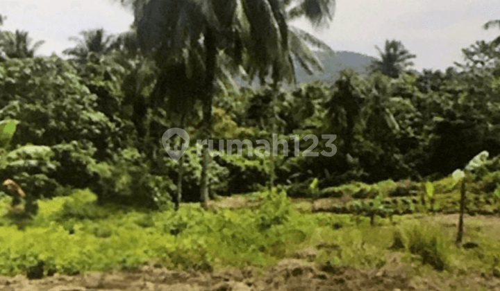 Dijual Tanah Kavling Molas, Manado 43.225 M2 Coldwell Banker