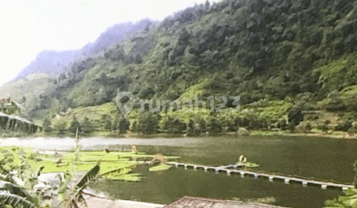 Tanah Kavling Dijual Sentul, Bogor 624.000 m2 Coldwell Banker