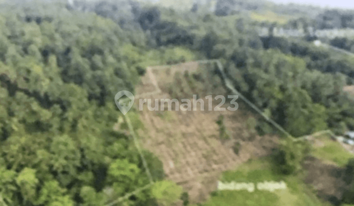 Dijual Tanah Kavling Molas, Manado 1.241.994 m2 Coldwell Banker