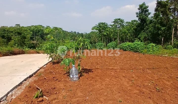 Tanah Kawasan Rs Cepoko Gunungpati Semarang