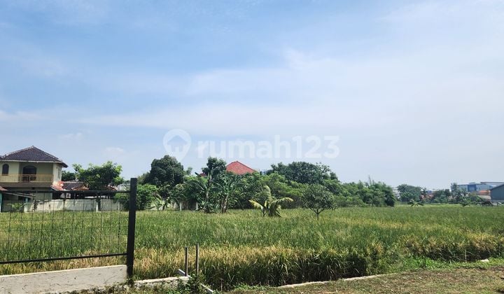 Tanah sawah di teluknaga tangerang