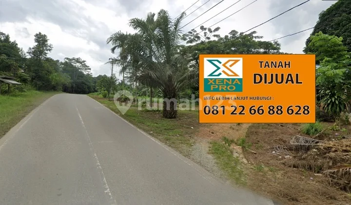 Tanah Murah Tepi Jalan Poros Samarinda Bontang Tanah Murah Tepi Jalan Poros Samarinda Bontang