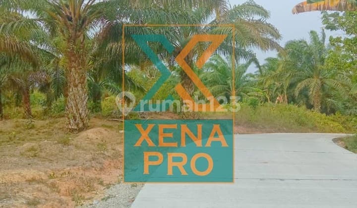 Tanah Ikn Sangat Murah Di Penajam Paser Utara