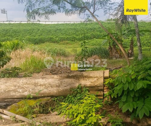 DIJUAL TANAH DEKAT ITERA