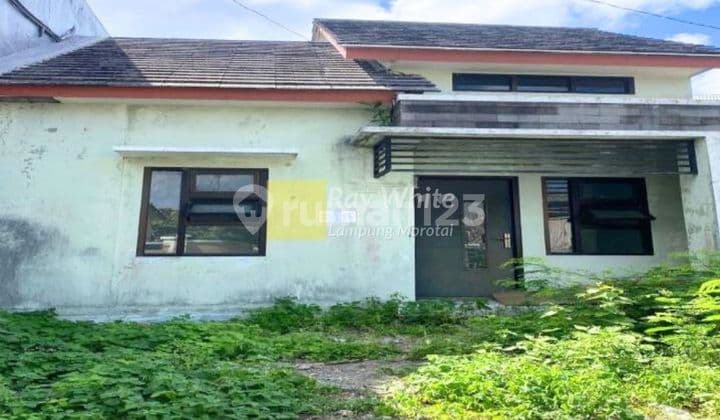 Jual Cepat Murah Rumah di Bali