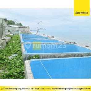 Tanah Bonus Bangunan Dan Tambak