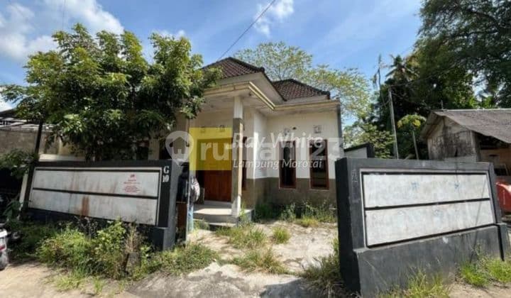 Jual Cepat Rumah Murah Tabanan Bali