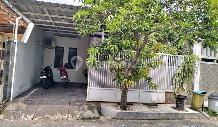 Rumah Sukolilo Dian Regency Siap Huni Dekat Its dan Pakuwon City