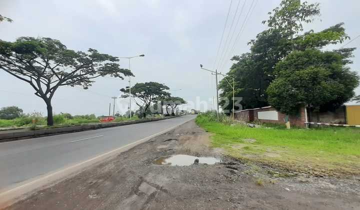 Raya Kaliwungu Strategis Bebas Banjir