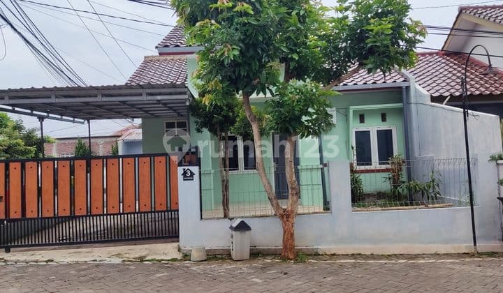 Rumah Full Furnish Dekat Undip Tembalang Semarang Selatan